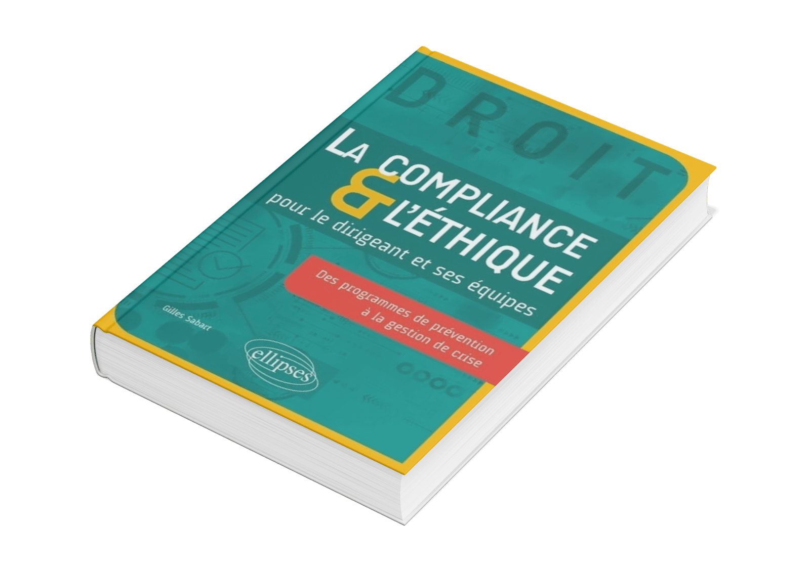 la compliance et l éthique pour le dirigeant et ses équipes